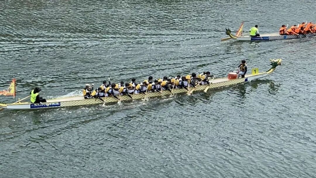 阿尔卑斯 阿尔卑斯